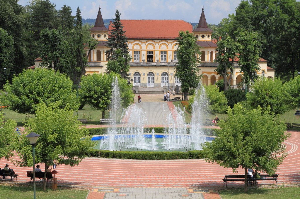 banja koviljaca1